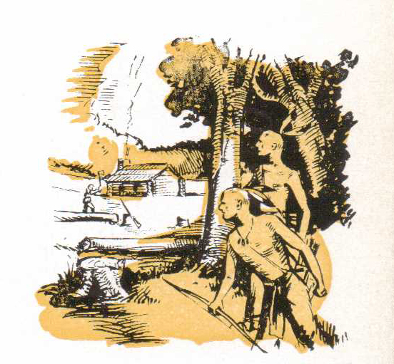 cabin3